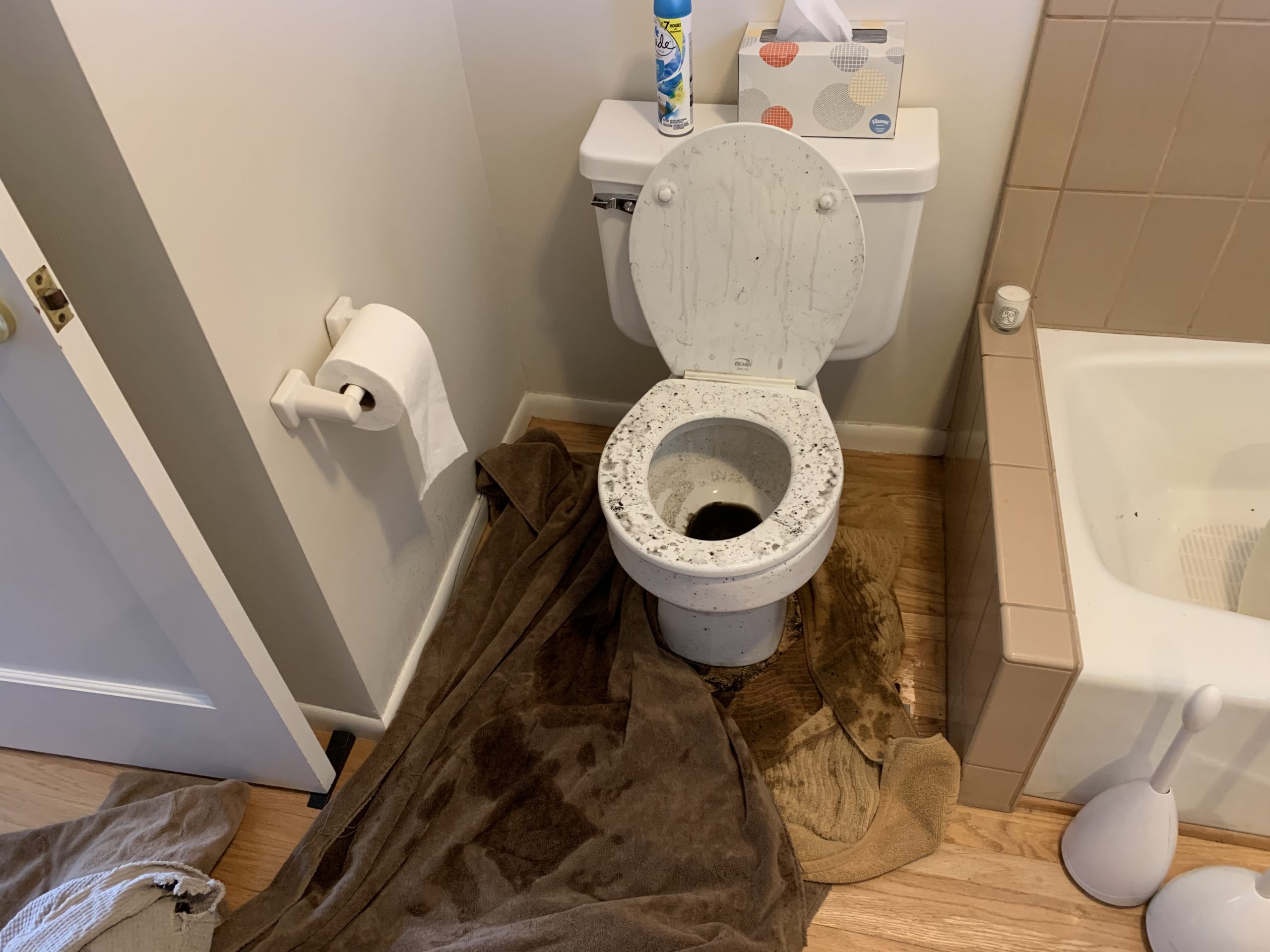 Dirty bathroom toilet
