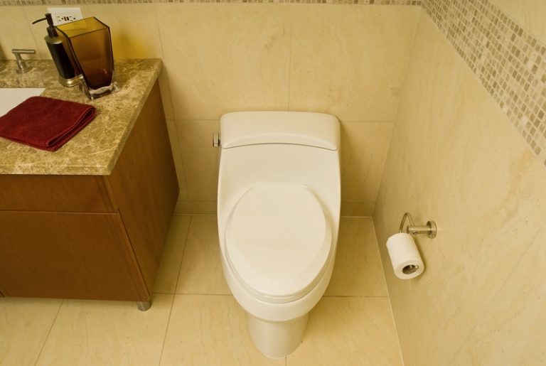 how-to-fix-a-non-flushing-toilet-flood-brothers-plumbing